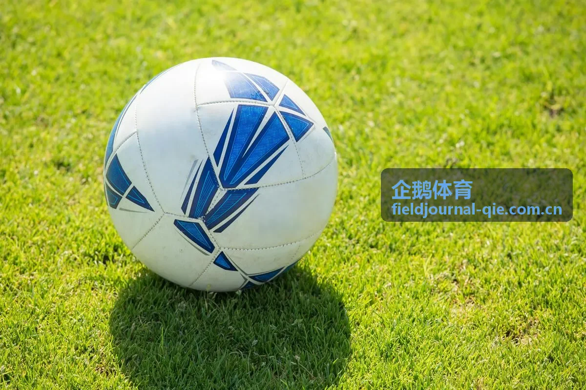 企鹅体育青少年冰球训练场内部